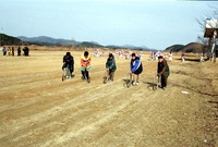 제9회민속놀이 한마당