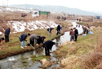 환경대청결운동 - 새봄맞이