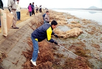 환경대청결운동 - 새봄맞이