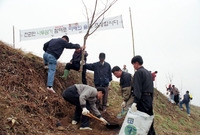 제56회식목일 행사