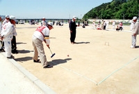 제5회 장성군 생활체육대회