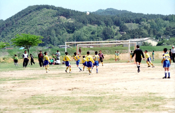 제5회 장성군 생활체육대회