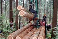 임업기계화 실연회 개회식