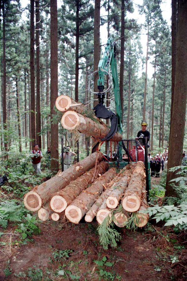 임업기계화 실연회 개회식