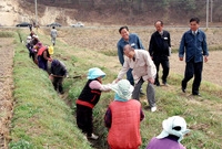 2000공공근로사업장(북이...
