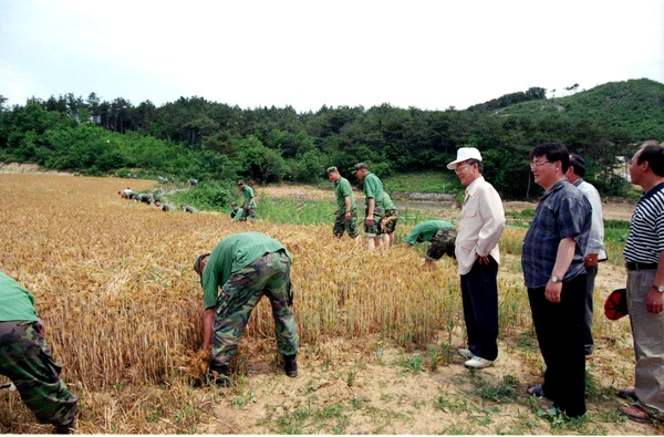 농촌일손돕기