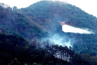 민.관.군 산불방지 종합 ...