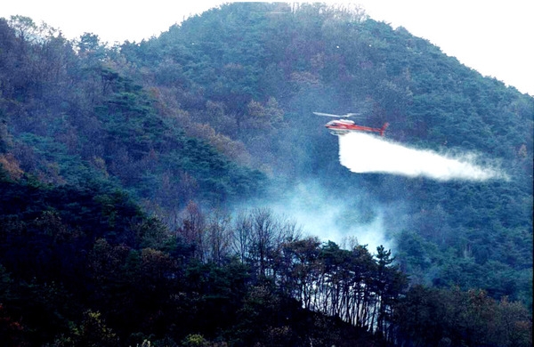 민.관.군 산불방지 종합 시범훈련