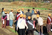 2000재활용품수거및국토대...
