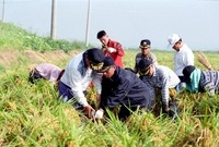 벼세우기 - 공병학교장