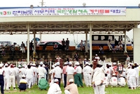 99노인게이트볼 대회