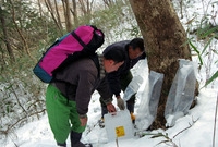 고로쇠약수