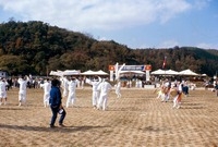 제13회 군민의날