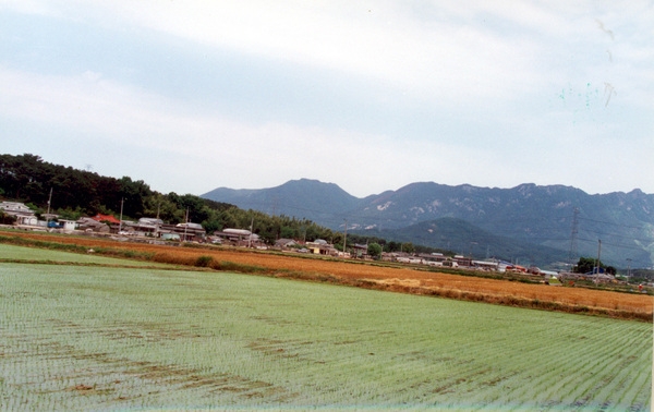 진원면 마을전경