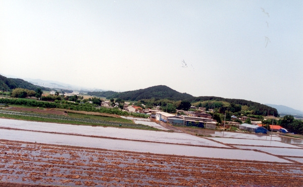 진원면 마을전경
