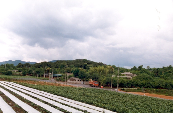 동화면 마을전경 - 용정리 기산마을