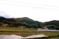 동화면 마을전경 - 동호리...