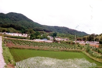 동화면 마을전경 - 구림리...