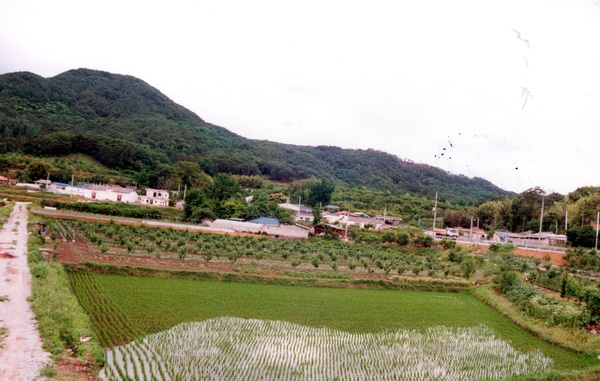 동화면 마을전경 - 구림리 구산마을