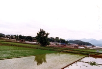 동화면 마을전경 - 남평리...