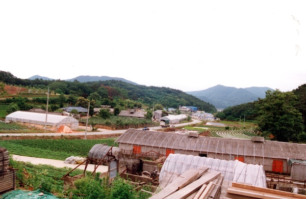 동화면 마을전경 - 남산리 동산마을