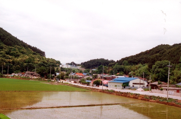 동화면 마을전경 - 월산리 월전마을