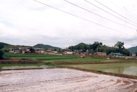 동화면 마을전경 - 월산리...