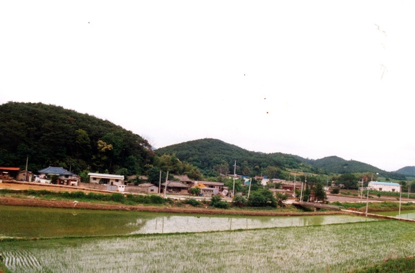 동화면 마을전경 - 월산리 임정마을