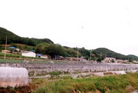동화면 마을전경 - 구룡리...