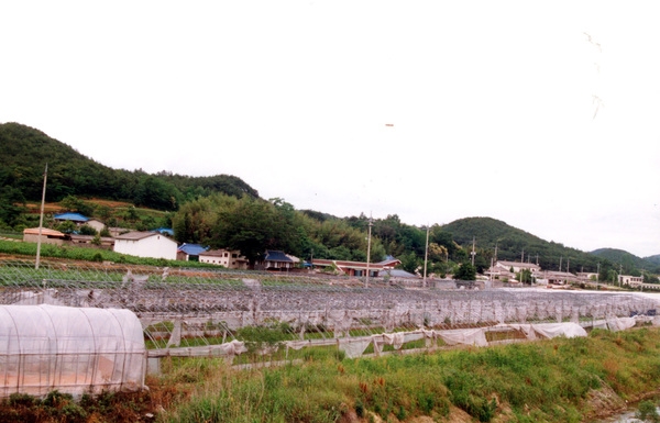 동화면 마을전경 - 구룡리 구봉마을