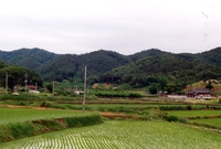 동화면 마을전경 - 송계리...