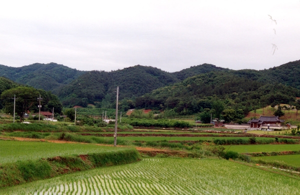 동화면 마을전경 - 송계리 항골마을