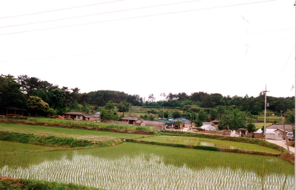 동화면 마을전경 - 송계리 송사마을
