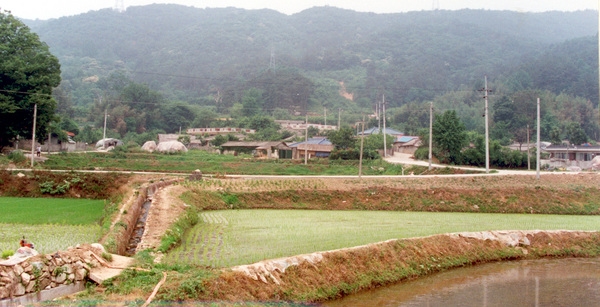 남면 마을전경(자은마을)