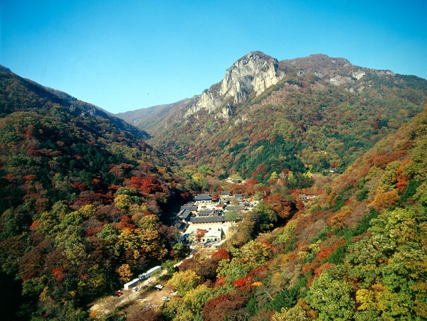 사진전(백양사)