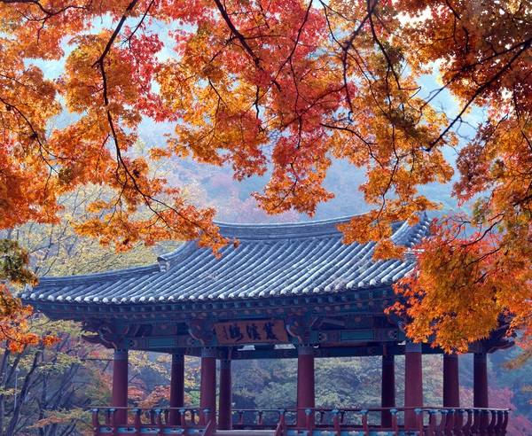 사진전(백양사)