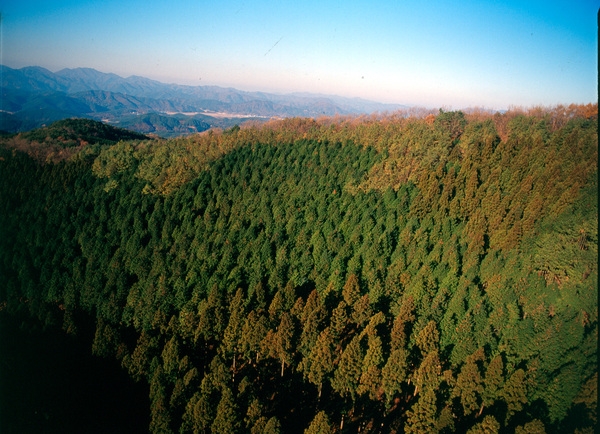 사진전(축령산)