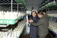 2002군.읍면정보고회(북...