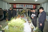 제5회백양난봄전시회