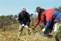 제57회식목일행사