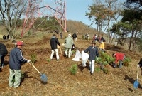 제57회식목일행사