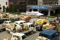 월드컵맞이숨은쓰레기수거운동...