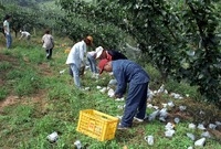 2002수해현장