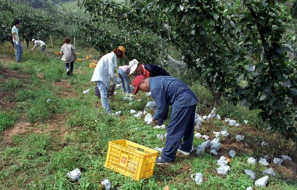 2002수해현장
