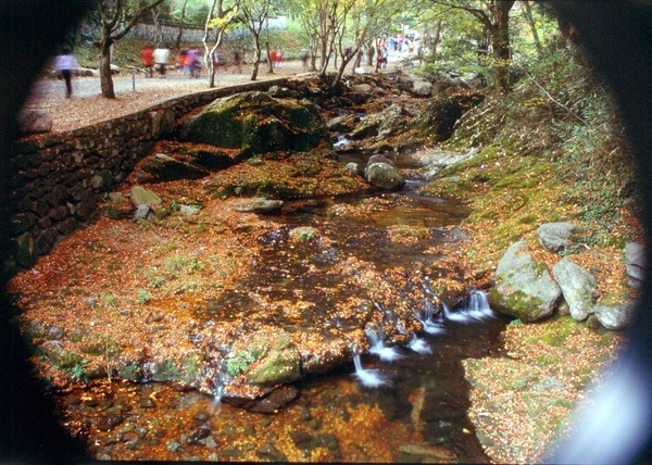 제3회 관광 사진전