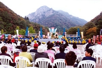 제7회 백양단풍축제