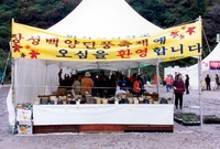 제7회 백양단풍축제