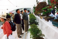 제7회 백양단풍축제