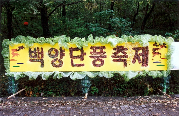 제7회 백양단풍축제