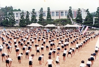 분향 초등학교